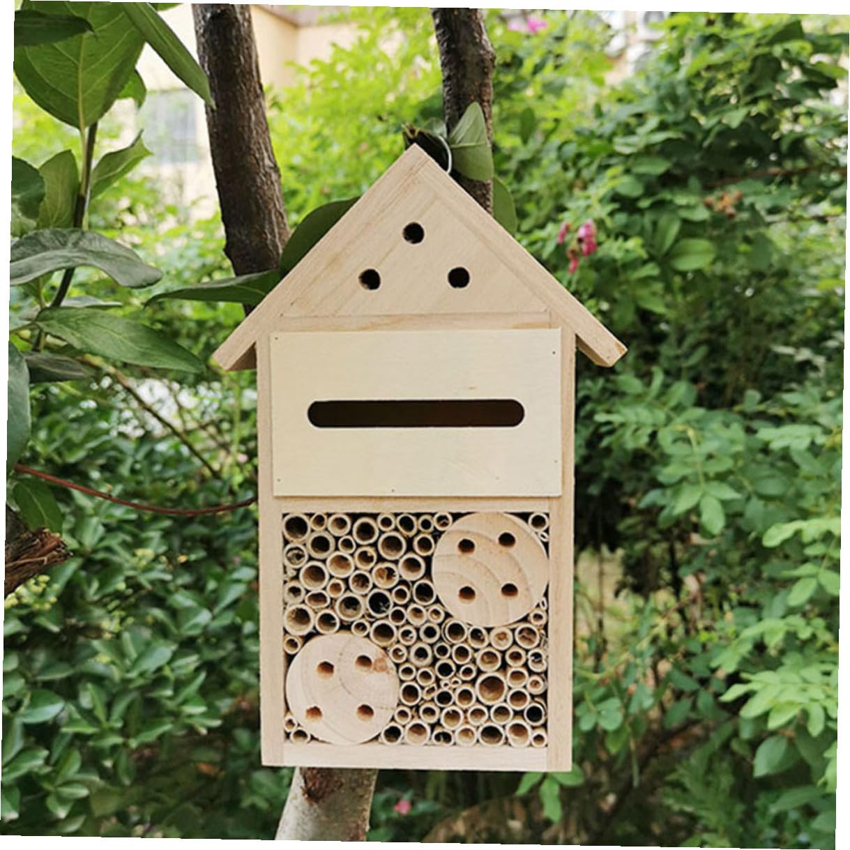 Yardenfun 2 Stück Bienenhaus mit Sicherem Dach Glatten Oberflächen Kinderbeobachtungshaus und Insektenhotel für Garten und Terrasse