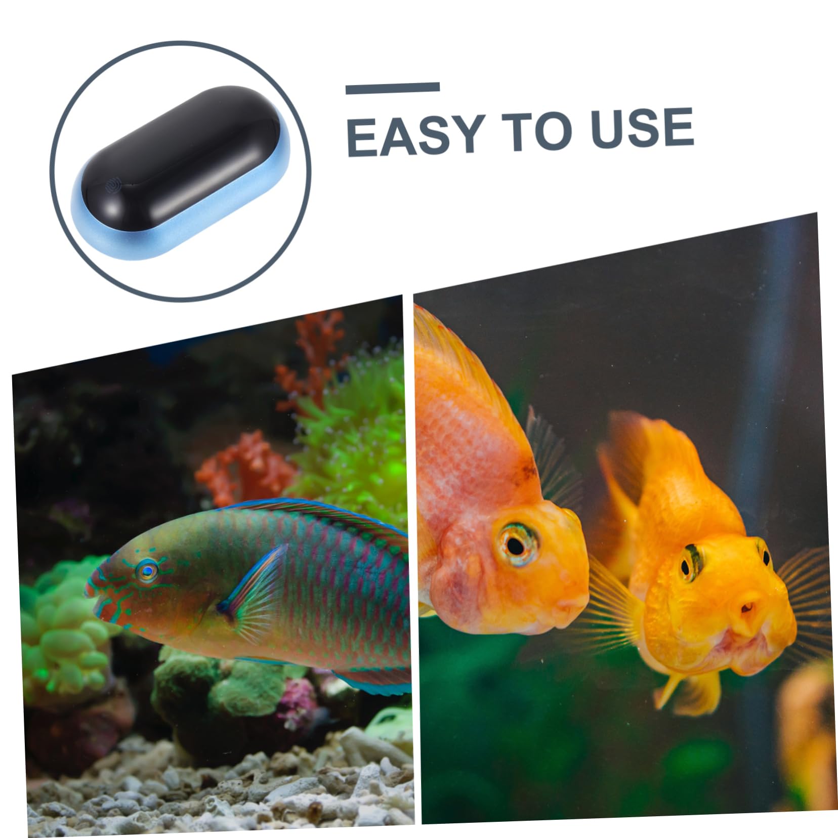 BESPORTBLE 3stücke Aquarium Thermometer Digital Mit -display Hochpräzises Temperaturmessgerät Für Fischbecken Wassertester Und Einfach Zu Bedienen Und
