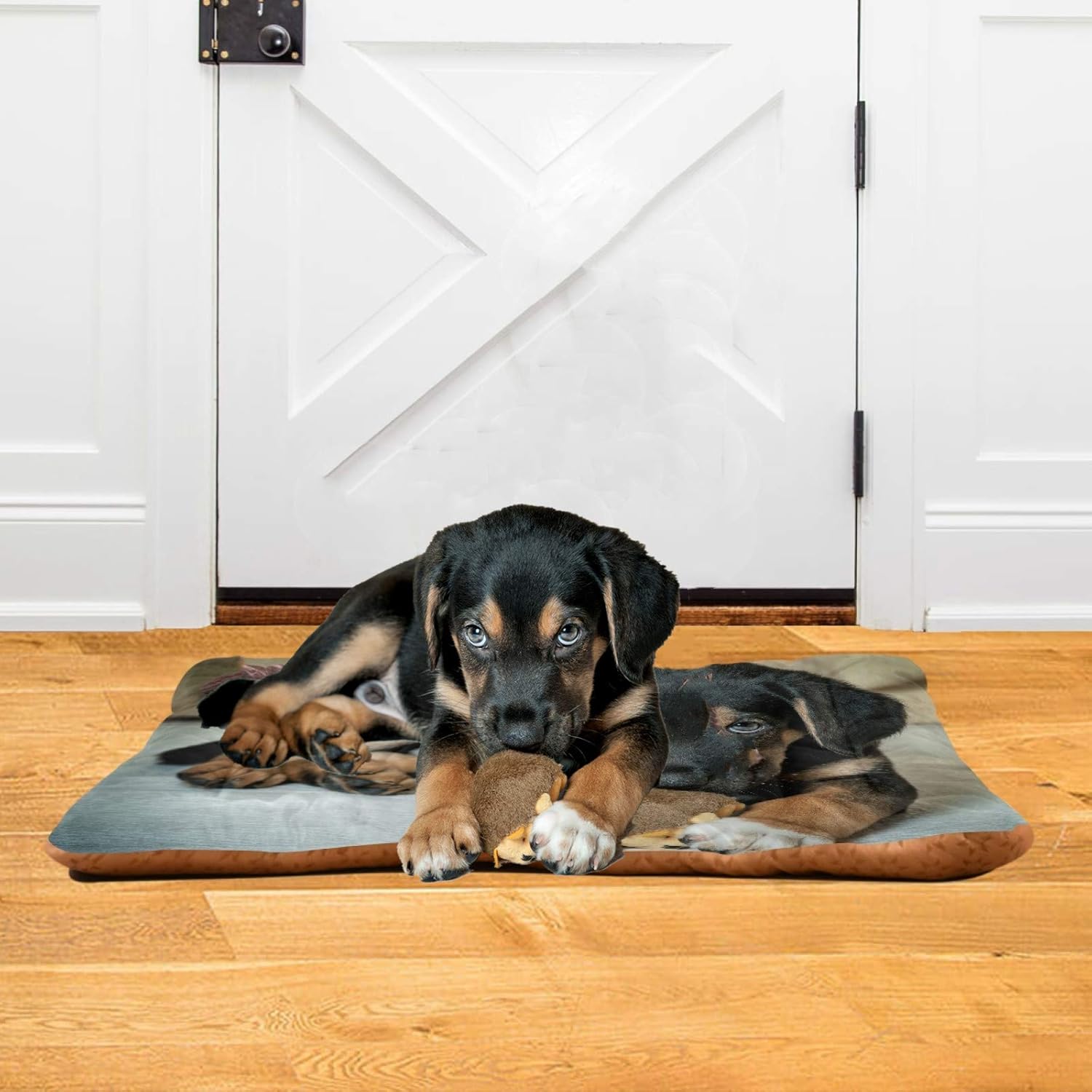 review Personalized Dog Mat Bed 18x24 inch Kennel Bed Pad Custom Pet Mat Customized Dog Gifts Non-Slip Crate Dog Bed Crate Mat Pet Bed