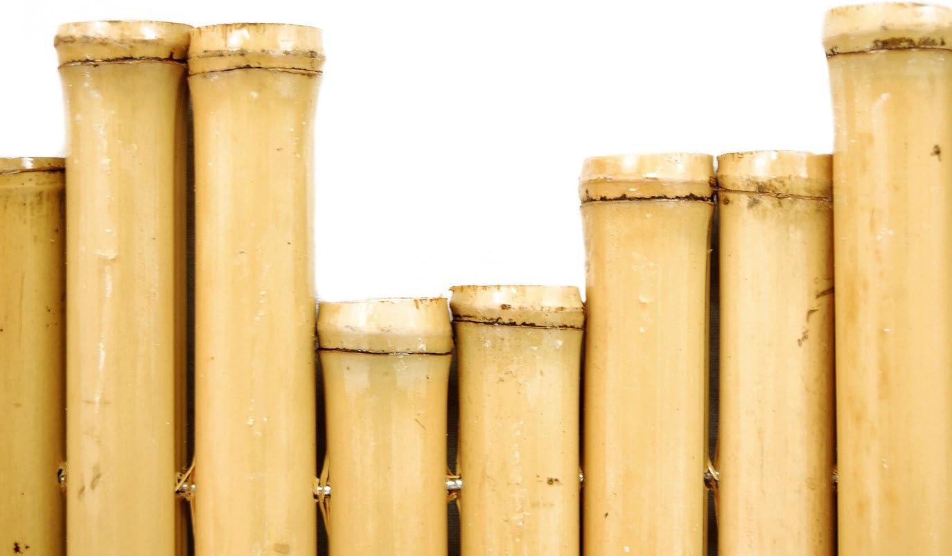 Backyard X-Scapes BAMA-BB02 Bamboo Border, 5 Pack, 7/8" D x 8" H x 23" L