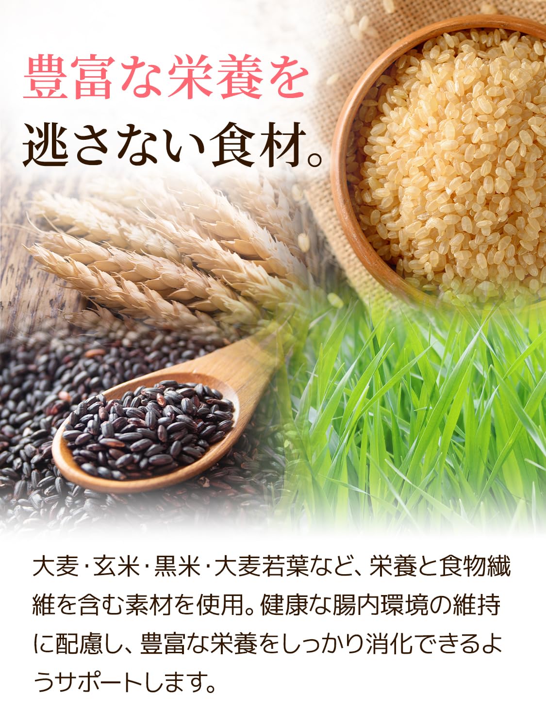 Amazon | 毎日美食 キャットフード 国産 無添加 成猫用総合栄養食 小麦