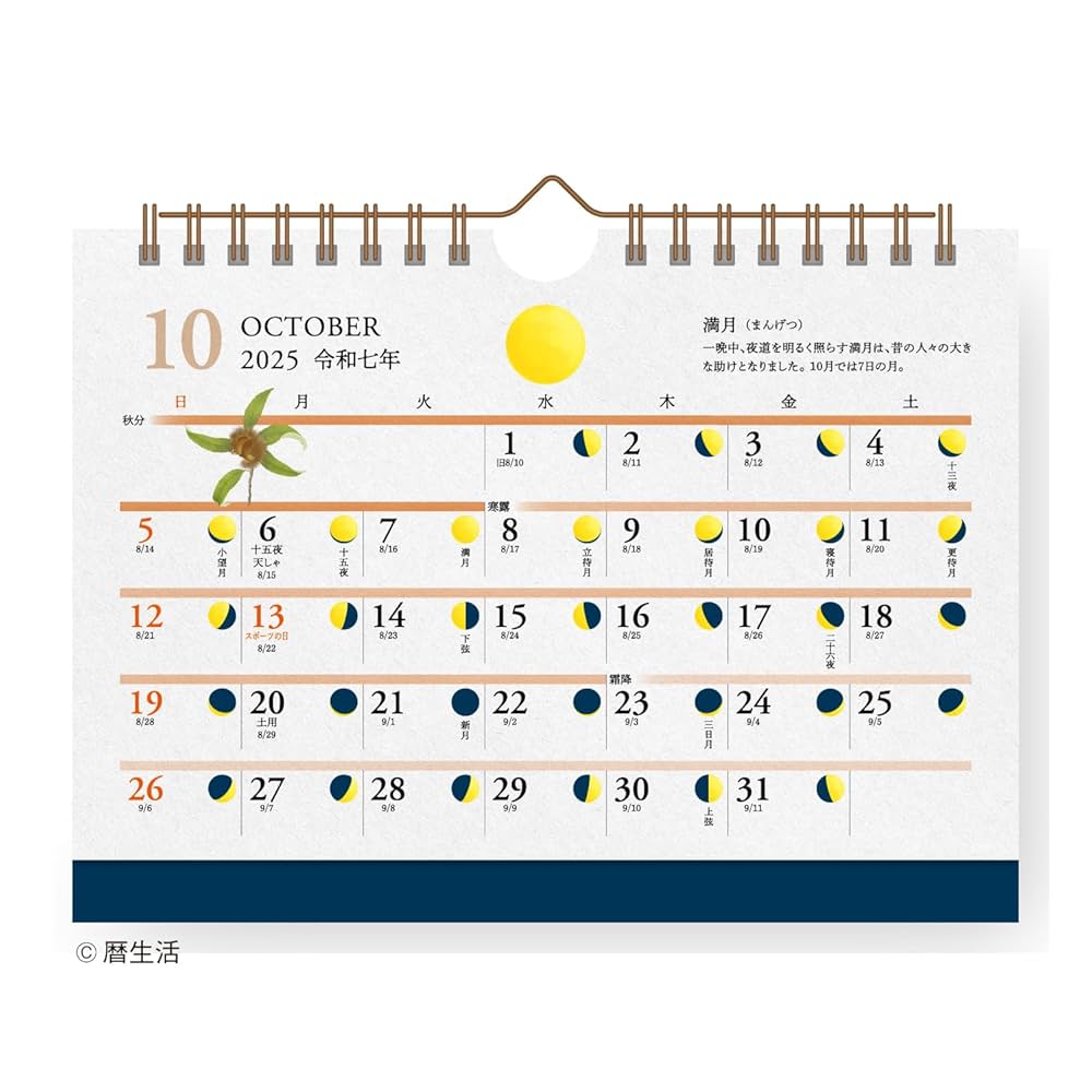 Amazon | 新日本カレンダー 2025年 カレンダー 卓上 月と暦