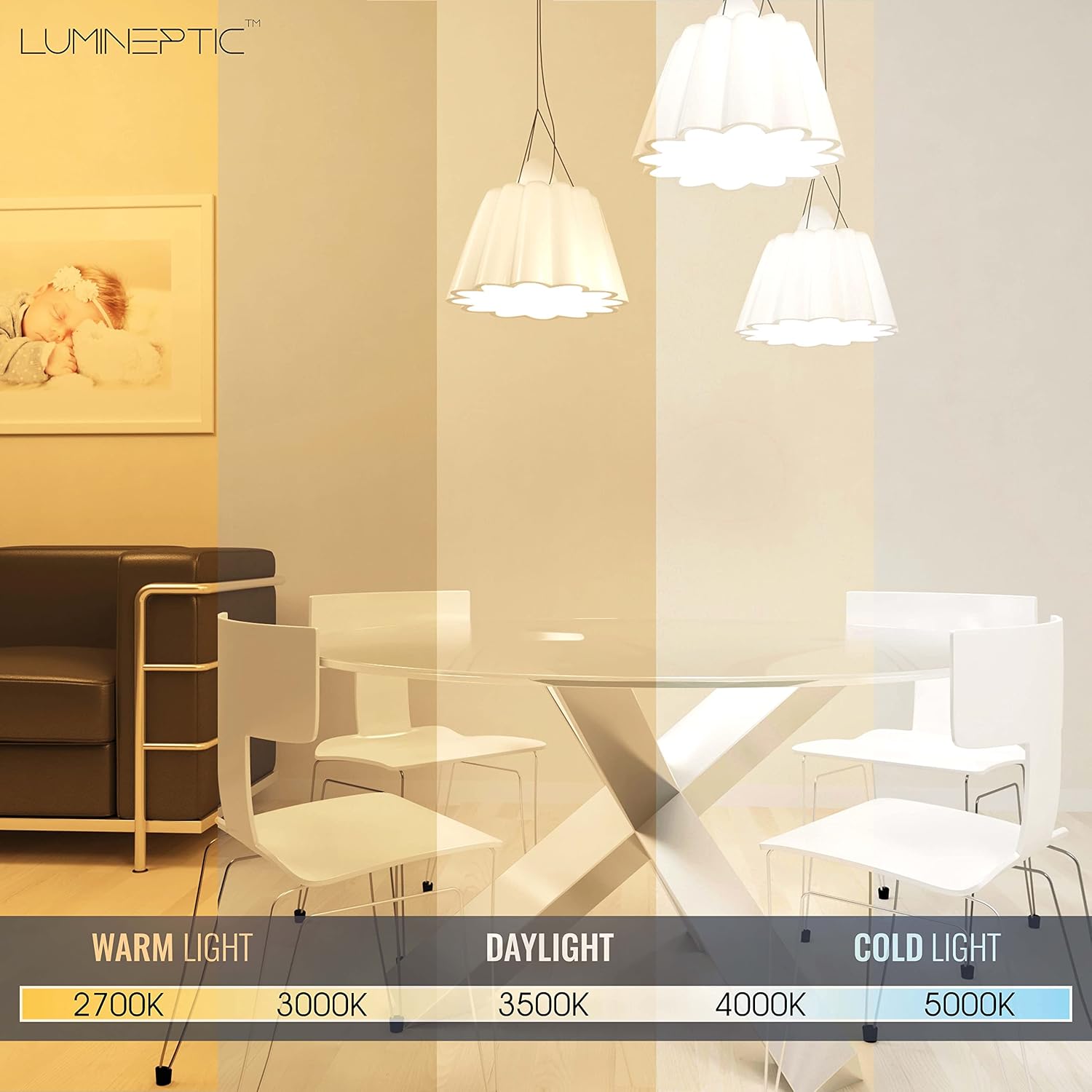 6 Inch 5CCT Dimmable Slim Recessed LED Pot Lights, Selectable Colors, Bathroom, Soffits & Damp Locations,12W, 1050 Lm High Brightness, (5CCT - 2700K/3000K/3500K/4000K/5000K, 20 Pack)