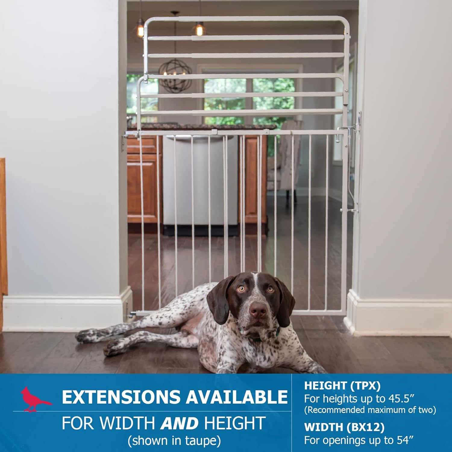 Cardinal Gates MG25 Duragate Baby Gate - Adjustable Dog Gate - Steel Safety Gate for Kids & Pets - 26.5 to 41.5 Inches Wide - Black (+ TPX (8" Height Extension))