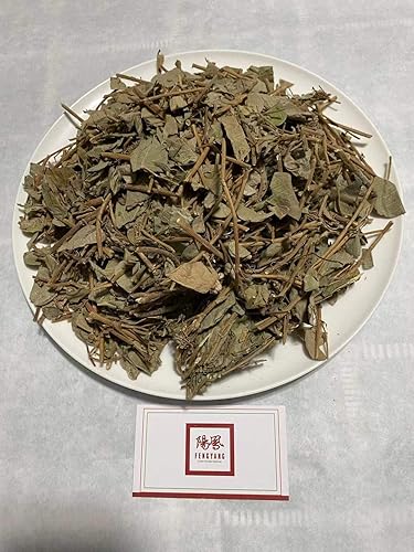 Guang Jin Qian Cao Lisimachia Christinae