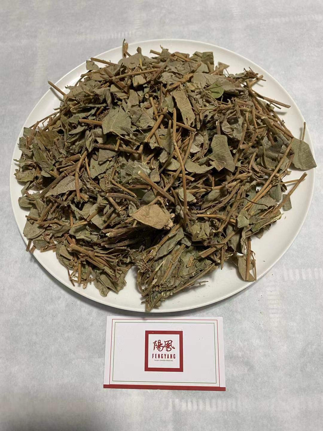广金钱草 Guang Jin Qian Cao 广金錢草 Lysimachia Christinae