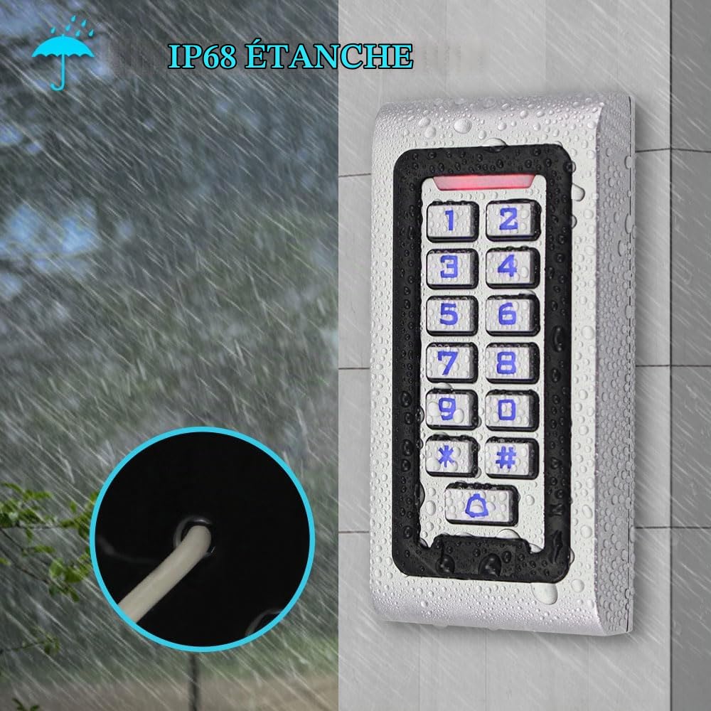 Kit de Système de Contrôle d'accès IP68 Imperméable Clavier RFID Lecteur Métallique WG26 125KHz + Verrouillage Magnétique électrique 180KG + Alimentation DC12V + Cartes Clés 10PCS