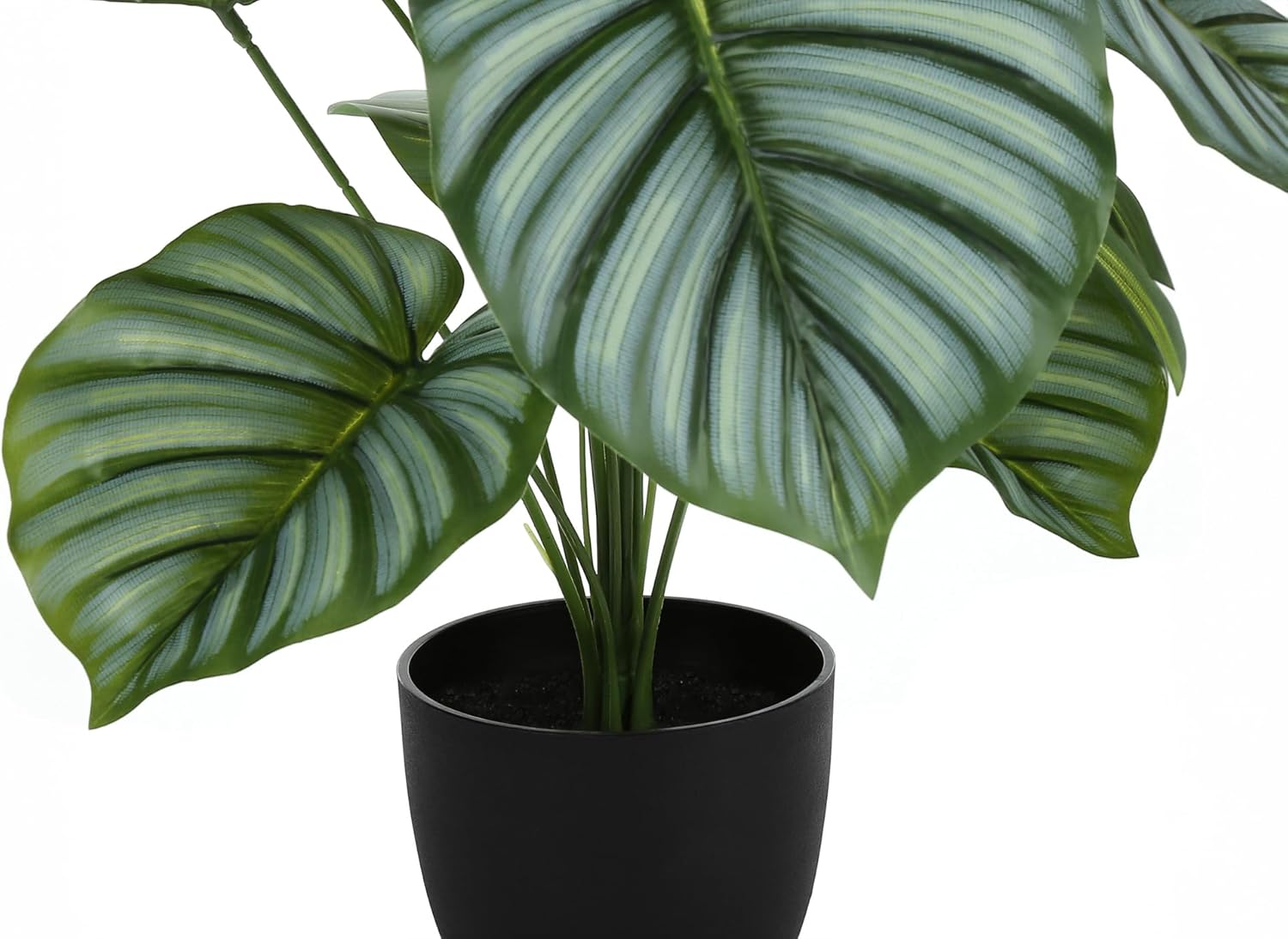 Monarch Specialties I 9577 Artificial Plant, 24" Tall, Calathea, Indoor, Faux, Fake, Table, Greenery, Potted, Real Touch, Decorative, Green Leaves, Black Pot