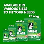 IAMS Proactive Health Minichunks Produits pour chiens secs – Crunchy Kibble pour chiens adultes – Poulet & Recette de grains entiers – 3.18KG (7LB) sac