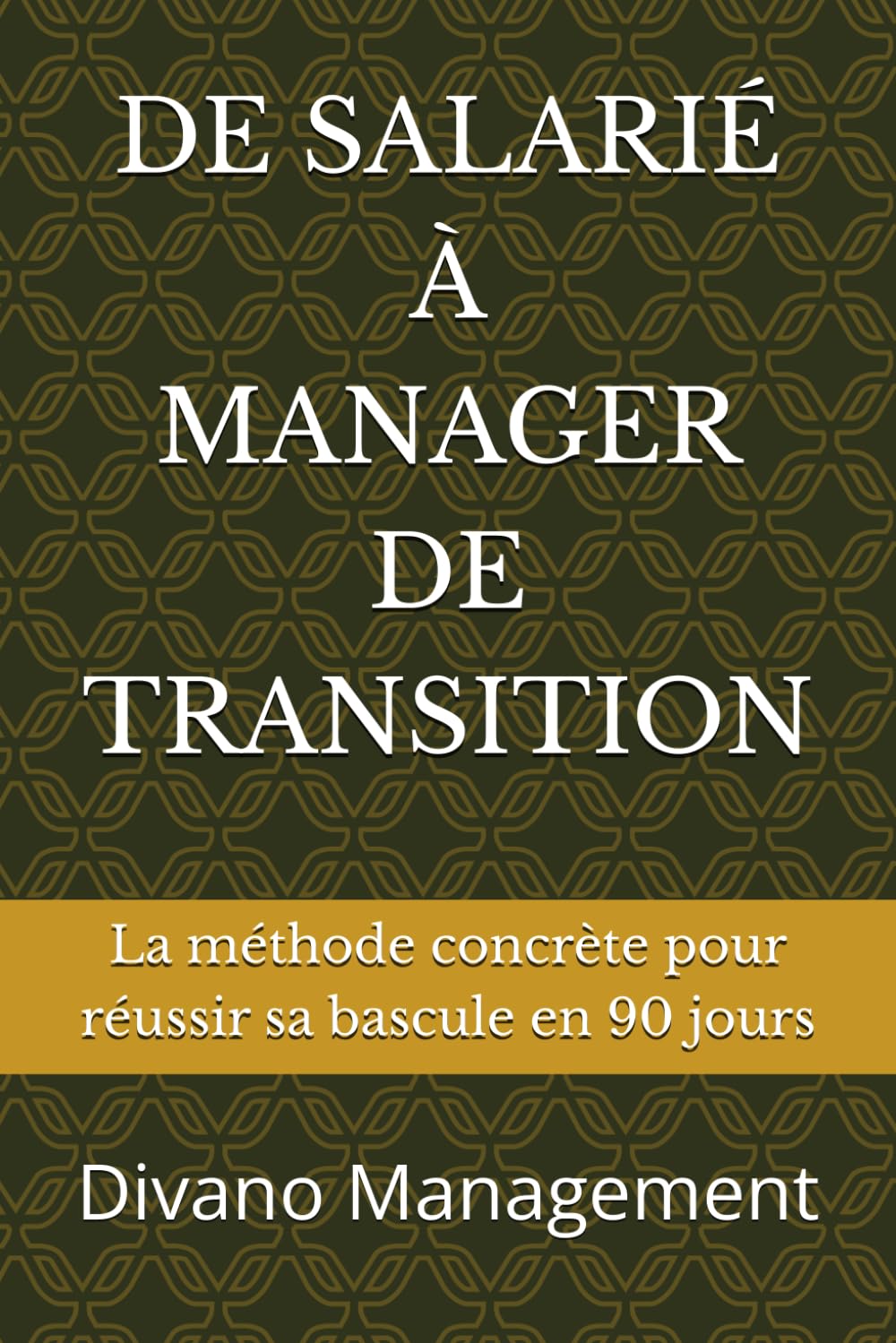 DE SALARIÉ À MANAGER DE TRANSITION: La méthode concrète pour réussir sa bascule en 90 jours