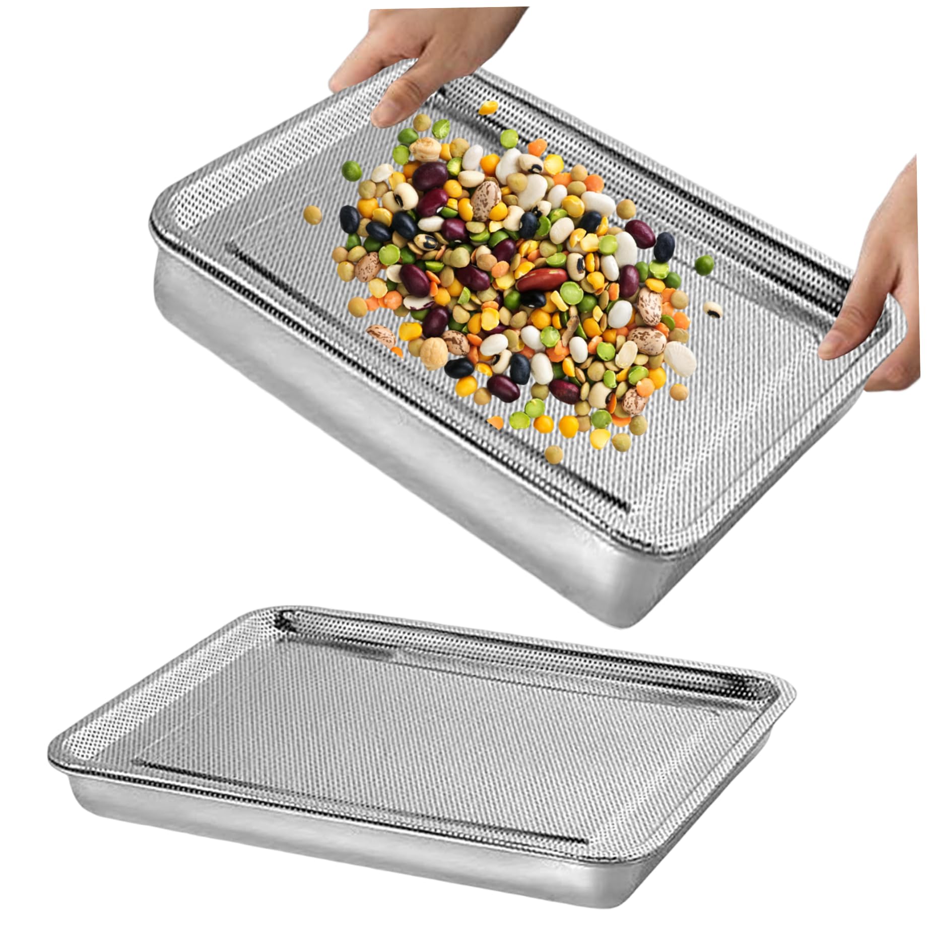 2 PCS Grain SPROURT Tray, Graine en Acier Inoxydable Kit de Plateau de Germination Rectangle des germes de Haricots d'herbe de blé Pousse Le Plateau pour la Fourniture de Jardin 26x20x5 cm
