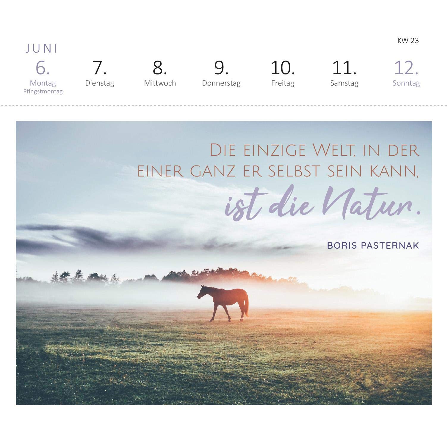Postkartenkalender Raus ins Grüne 2022