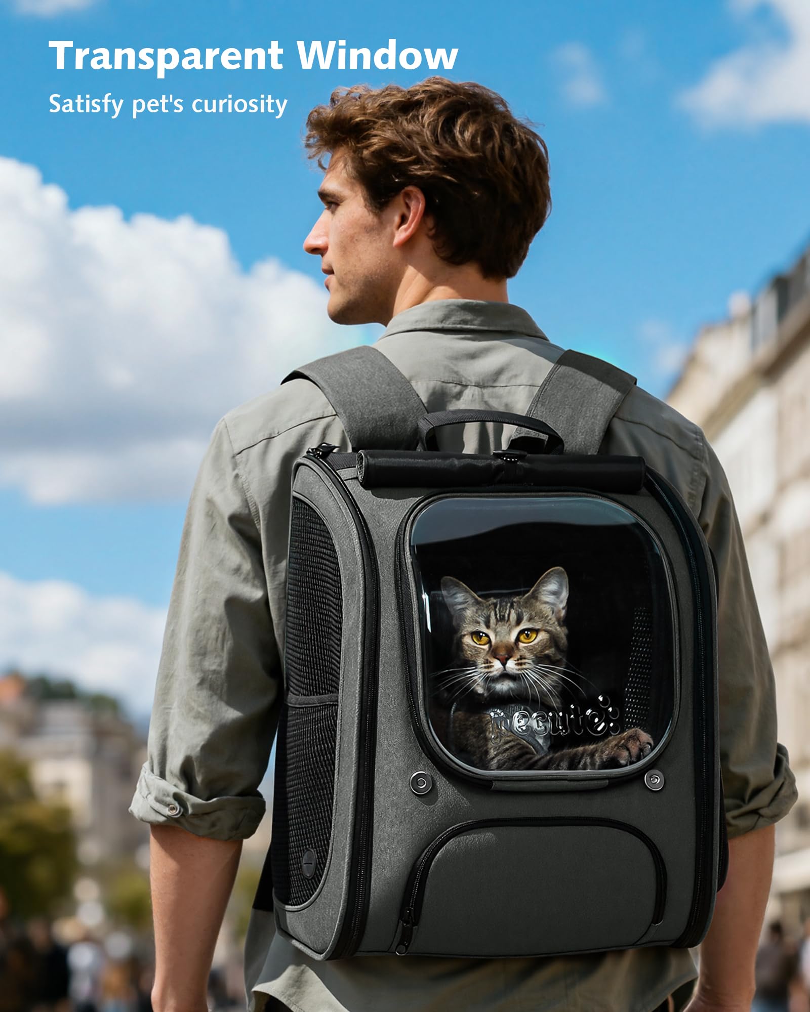 Pecute Scalabile Zaino Trasportino per Gatti a Bolla - Ampio spazio stabile, parasole traspirante, ideale per viaggiare, fare visitare cliniche veterinarie con il tuo animale domestico, Grigio