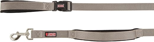 kong leash amazon