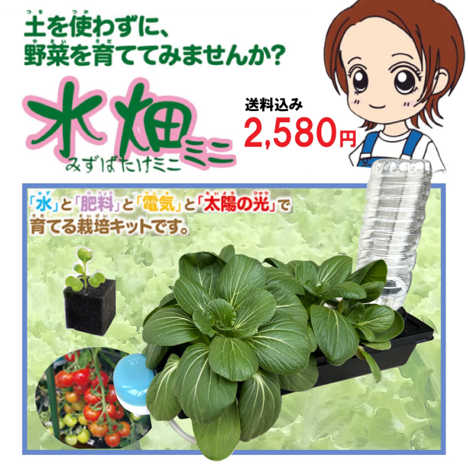 水耕栽培キット コンパクト　野菜物語 水耕栽培キット「野菜物語」 【公式通販】