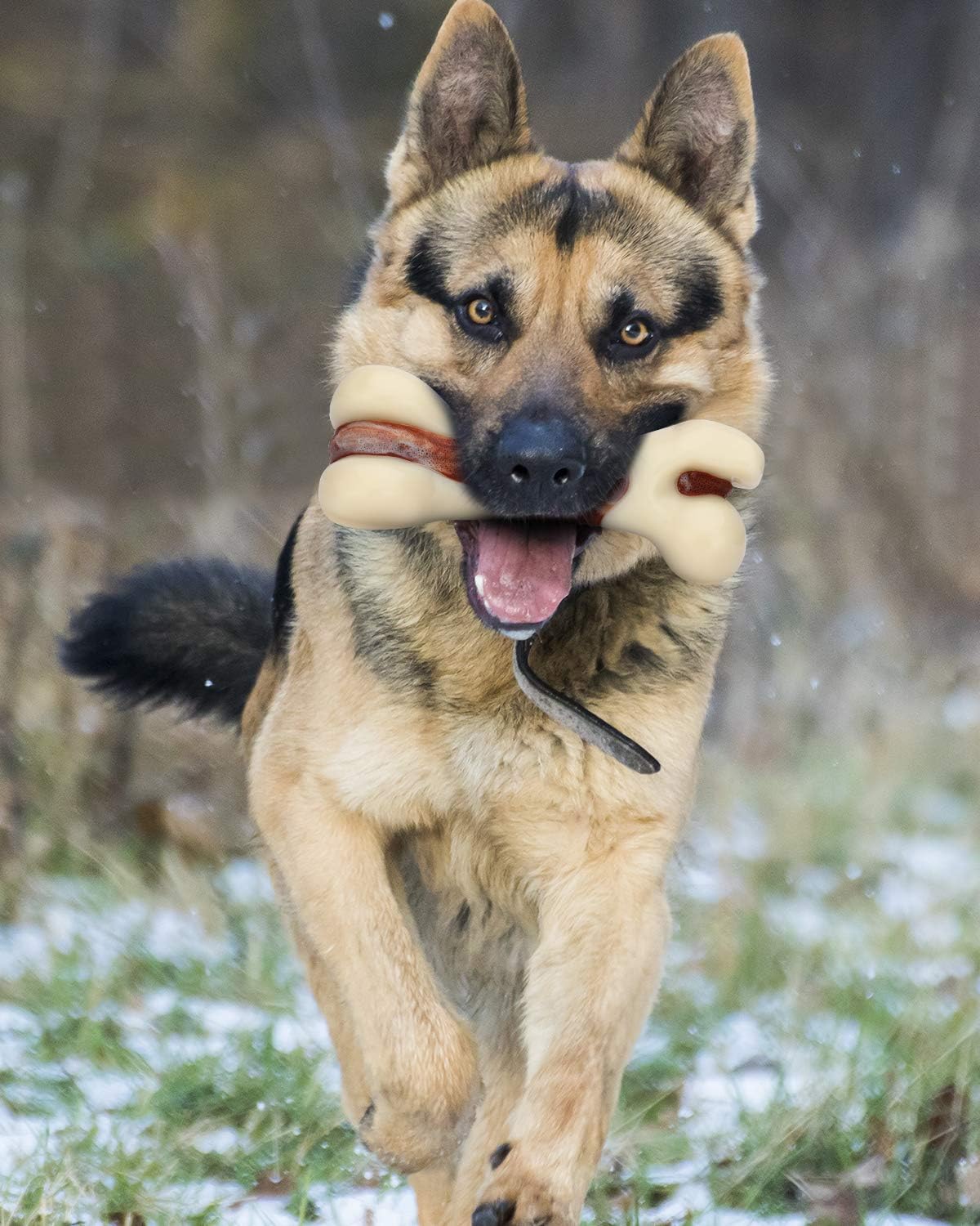 Pet Supplies : Tikaton Indestructible Dog Chew Toys for Aggressive Chewers, Real Beef Flavor Durable Dog Teething Chew Toys Bones for Large/Medium/Small Puppies : 