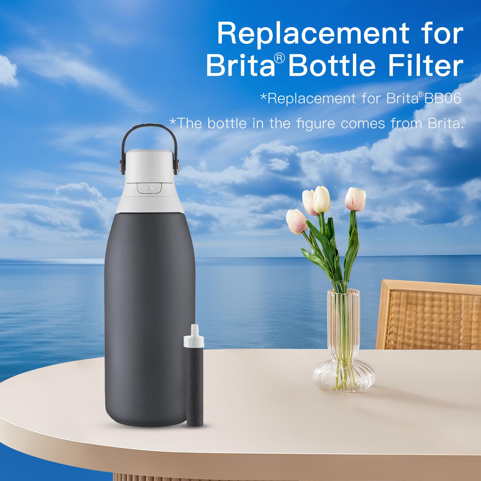Wasserfilter Für Brita Flaschen (10er Pack) – Kokosnuss-Kohlefilter, Kompatibel Mit BB06, Edelstahl & Sportflaschen