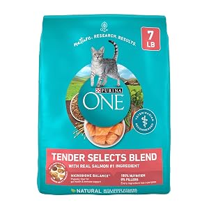 Purina ONE Natural Dry Cat Food Tender Selects Blend With Real Salmon - 7 lb Bag