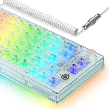 65% Hot-Swapped White Wired Mechanical Gaming Keyboard with Coiled Cable | Transparent 66 Key,Full RGB,QWERTY,Linear Switch,USB C to A Aviator Cable,Media Knob,Programmable,2-IN-1 Case for Win, PC,MAC