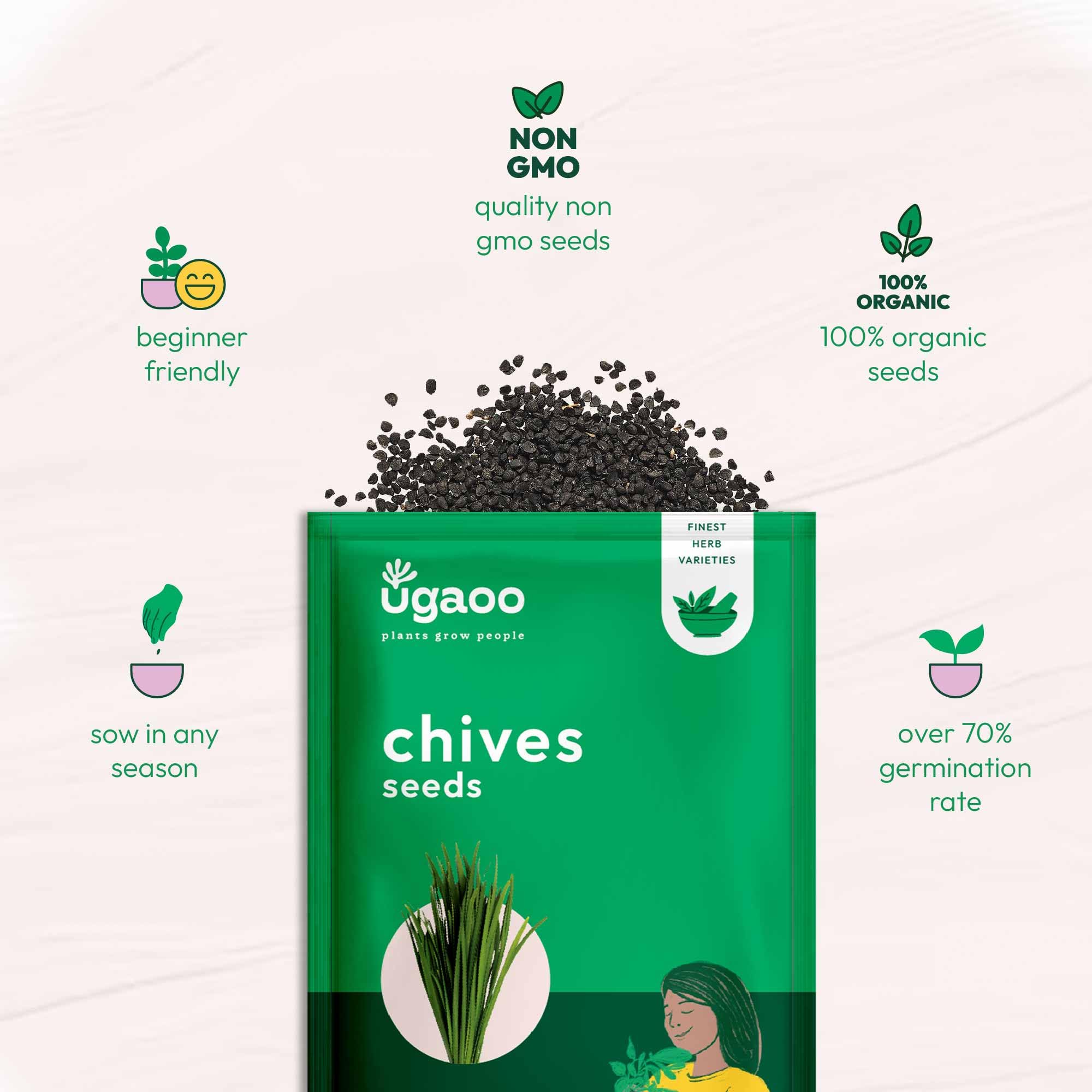 UGAOO Chives Herb Seeds (Green, Pack of 500) - Image 5 thumbnail