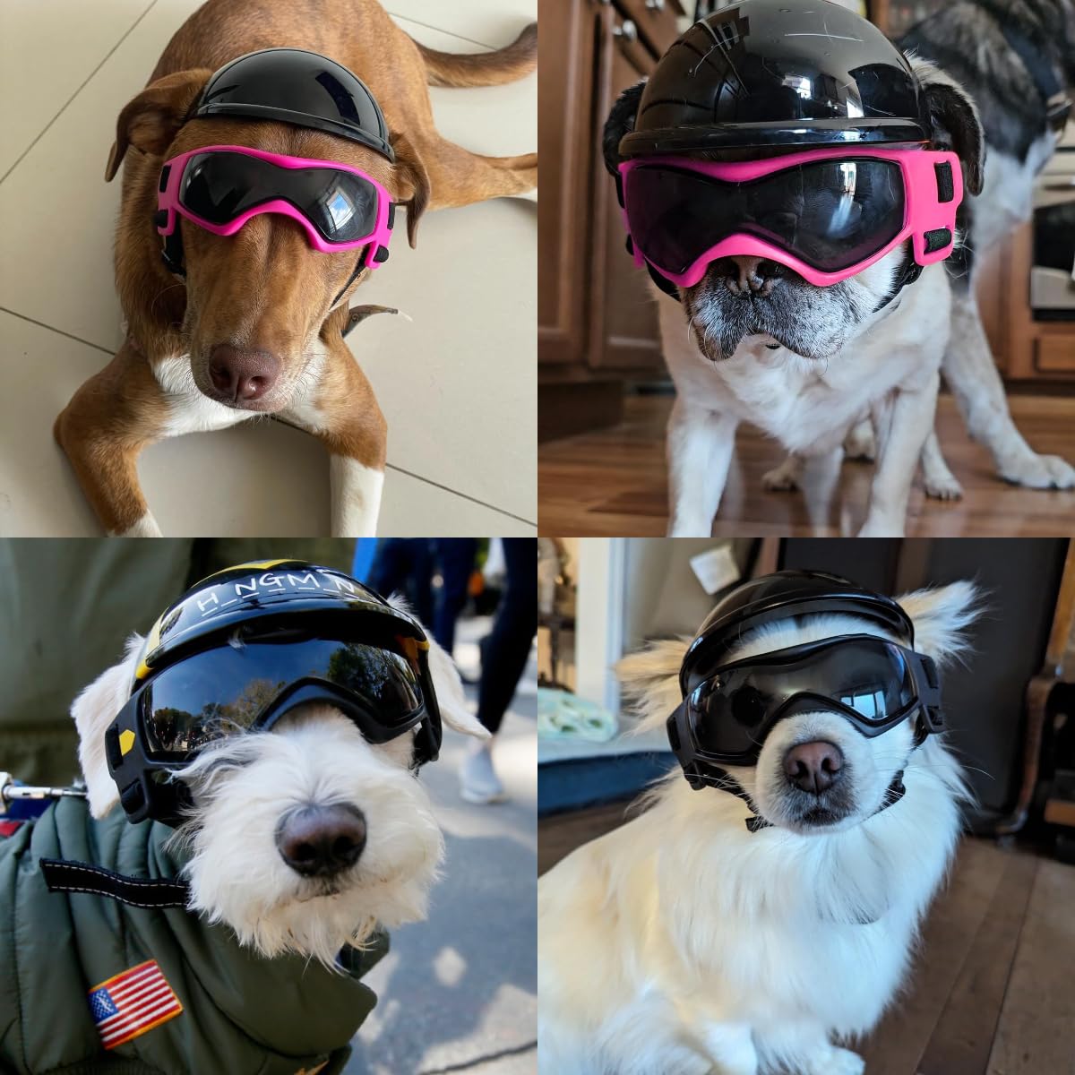 LESYPET Occhiali per cani di piccola taglia con casco, occhiali da sole e casco per guida all'aperto, protezione UV, occhiali da sole per cani di piccola taglia, protezione per gli occhi, rosa e nero