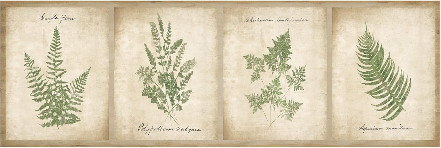 Trademark Fine Art 'Vintage Ferns 4 Image Panel' Canvas Art by Wild Apple Portfolio