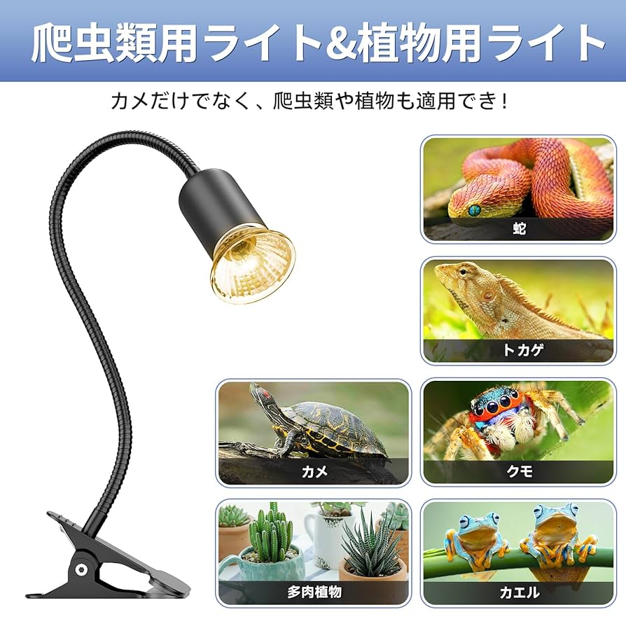 Amazon.co.jp: DTZY爬虫類 ライト 亀 バスキング ライト兼用 25W