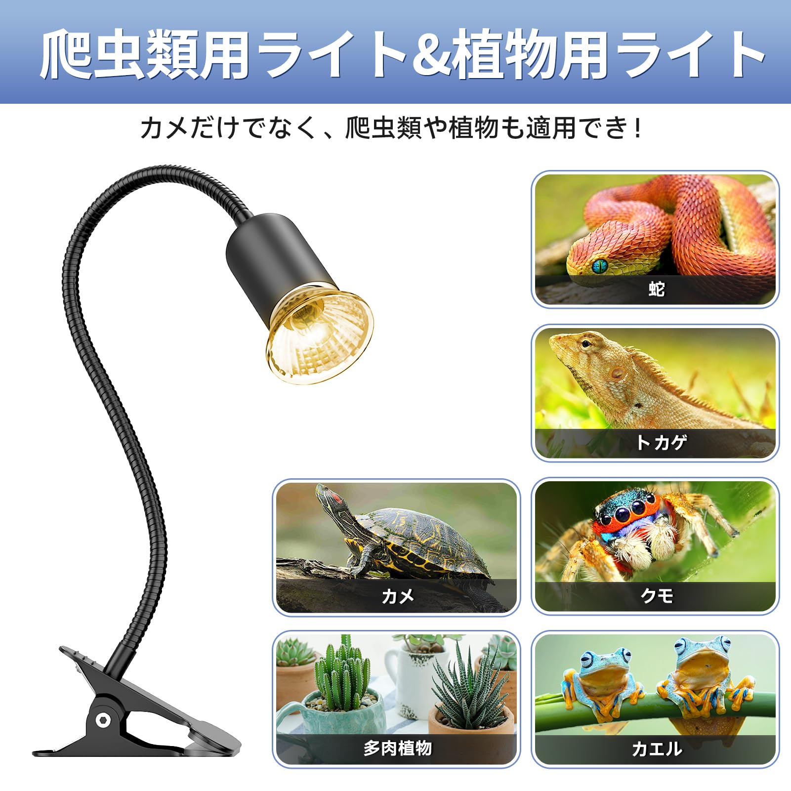 Amazon.co.jp: DTZY爬虫類 ライト 亀 バスキング ライト兼用 25W+50W