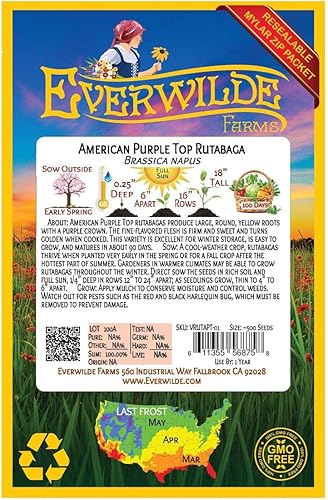 Miniatura 2 de Everwilde Farms - 500 semillas de Rutabaga American Purple Top - Paquete de semillas jumbo Gold Vault