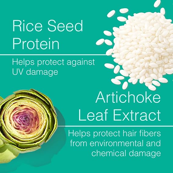 Function of Beauty Heat Protection Spray for Hair - Frizz Control Hair Care