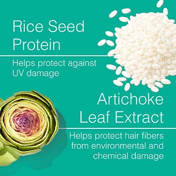 Function of Beauty Heat Protection Spray for Hair - Frizz Control Hair Care