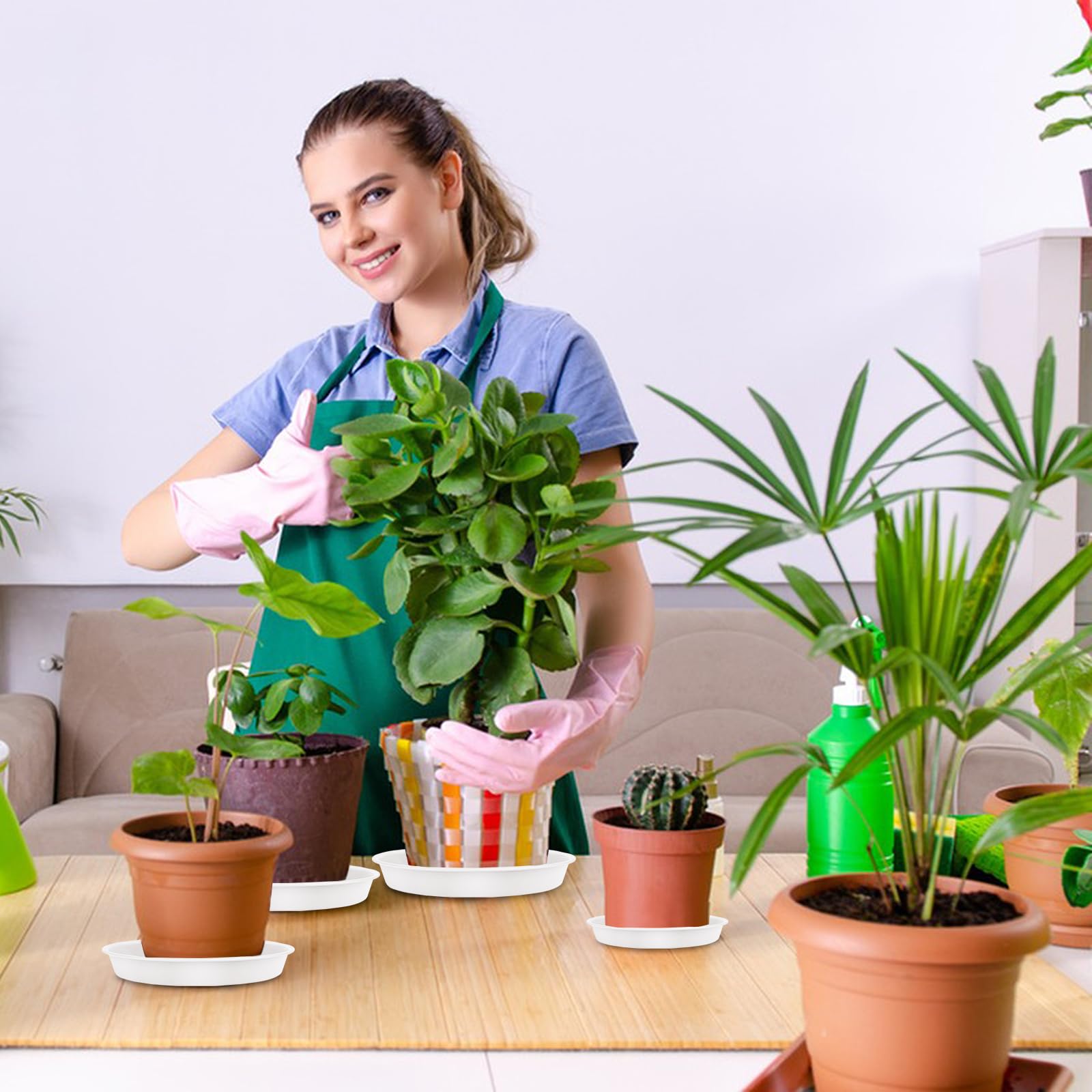 T4U Vaso Per Pianta Grassa Vaso Di Piante Con Vassoio Di Grigio 6CM