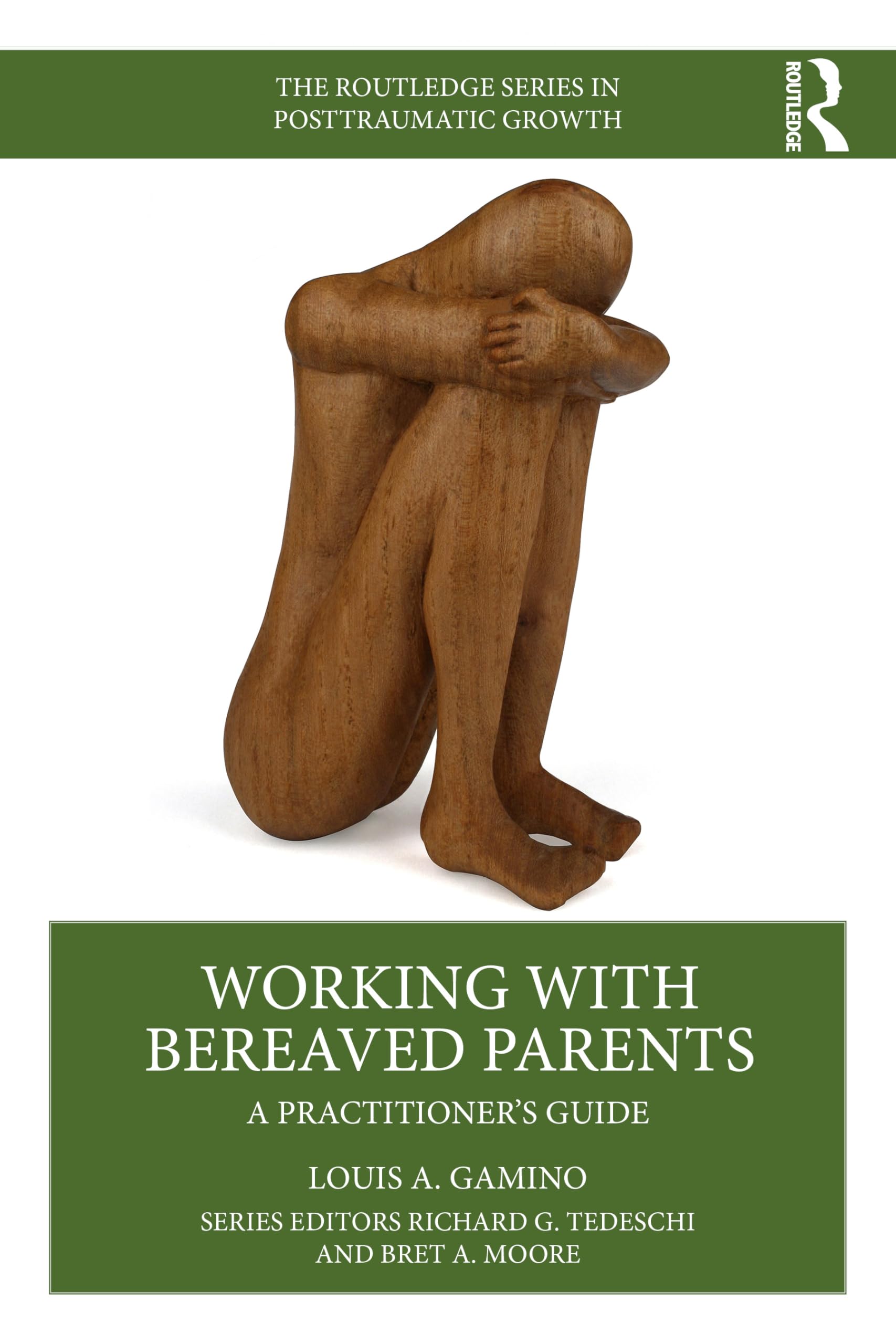 Working with Bereaved Parents: A Practitioner's Guide (The Routledge Series in Posttraumatic Growth)