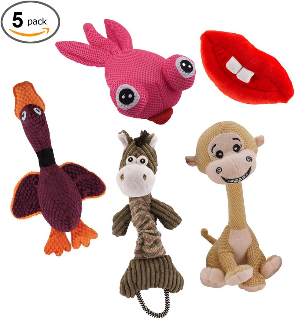 Dawgeee® Dog Toys Value 5 Pack for Puppy, Small Dogs and Medium Dogs, Squeaky Toy, Plush Toys, Rope Pet Toys, Dog Chew Toys (Teething Pack)