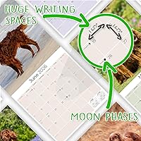 Vista 1434 de Razas de Perros 2017