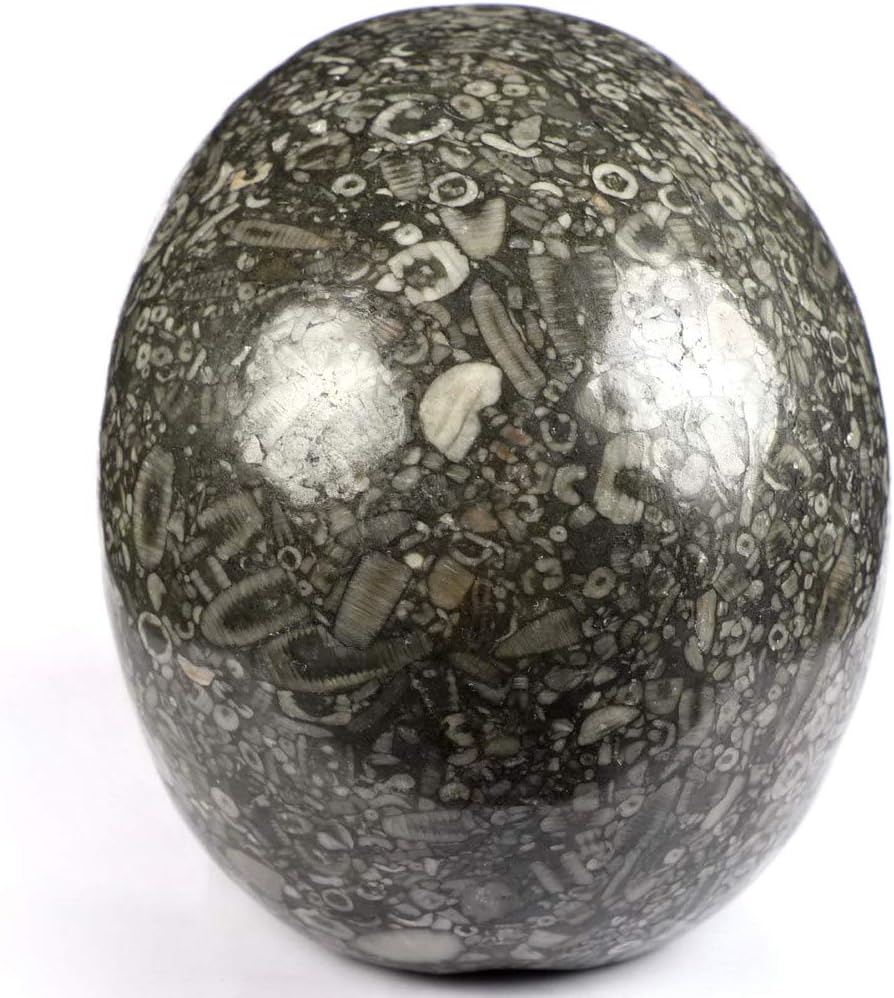 Amazon Co Jp Skullis 5インチ クリノイド化石クリスタルスカル 手彫りの宝石ファインアート彫刻 レイキヒーリングストーン像 ホーム キッチン