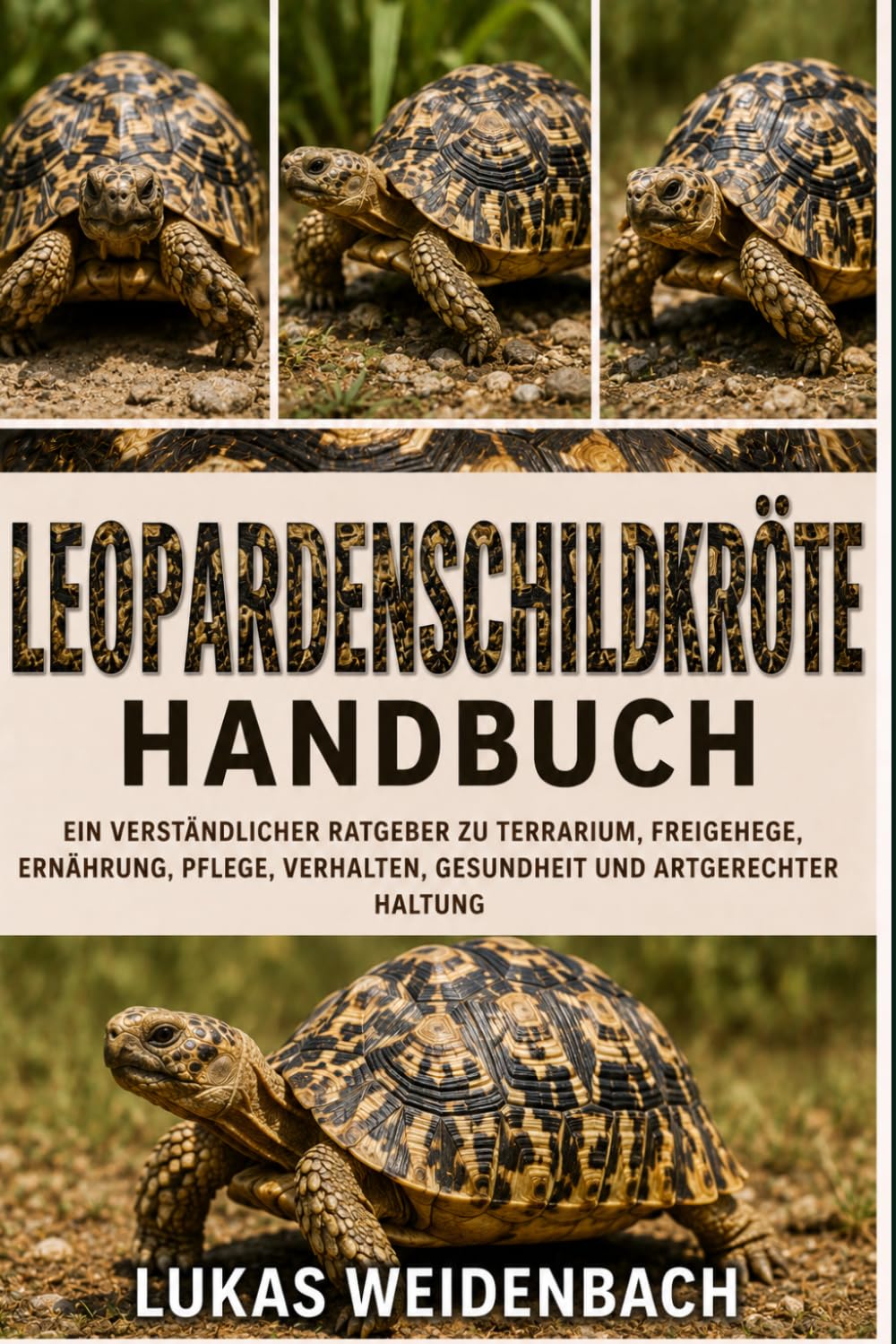 Leopardenschildkröte Handbuch: Ein verständlicher Ratgeber zu Terrarium, Freigehege, Ernährung, Pflege, Verhalten, Gesundheit und artgerechter Haltung