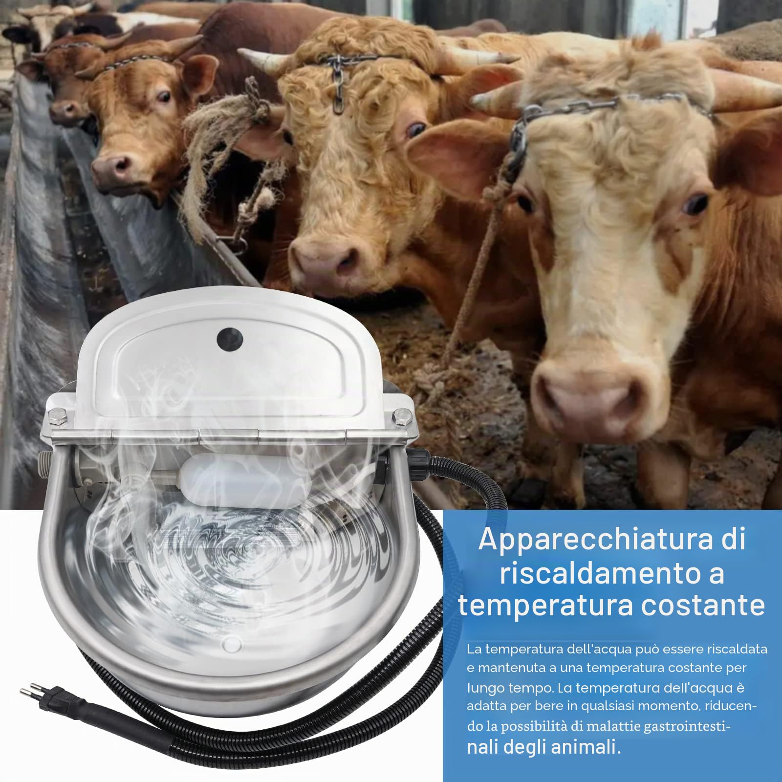 Abbeveratoio riscaldato da 220 V, con tappo di scarico in acciaio inox, termosifone automatico, antigelo, per cavalli, bovini, pecore, capre, cani, abbeveratoio (220 V)