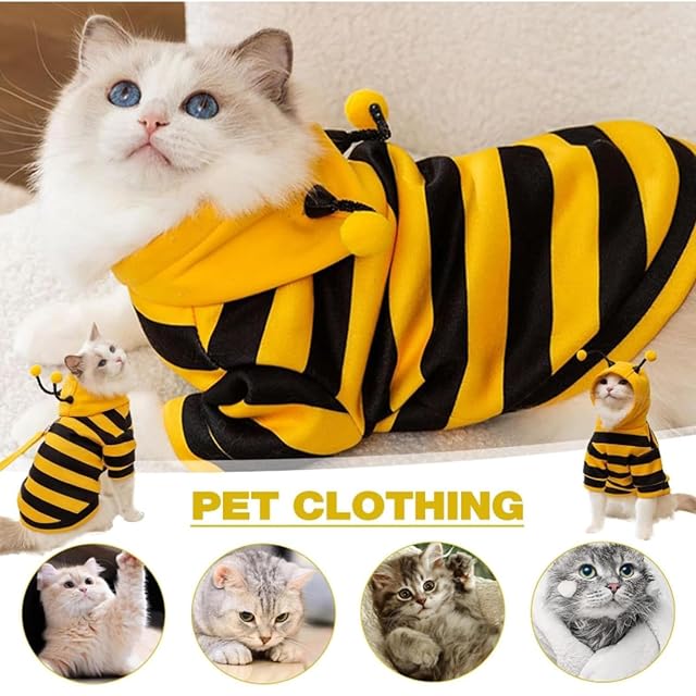 Foto 5 de 7 de mzvoo Bee Dog Costume,Pet Bee Costume Dog Bee Hoodies,Cat Outfits,Cat Bee Costume Cat Outfits Halloween Cat…