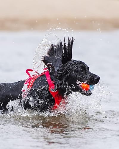 Miniatura 3 de Chuckit! Anfibio - Bolas de caza (juego de 3) juguete de disco volador de paraflight, grande (9.75 pulgadas)