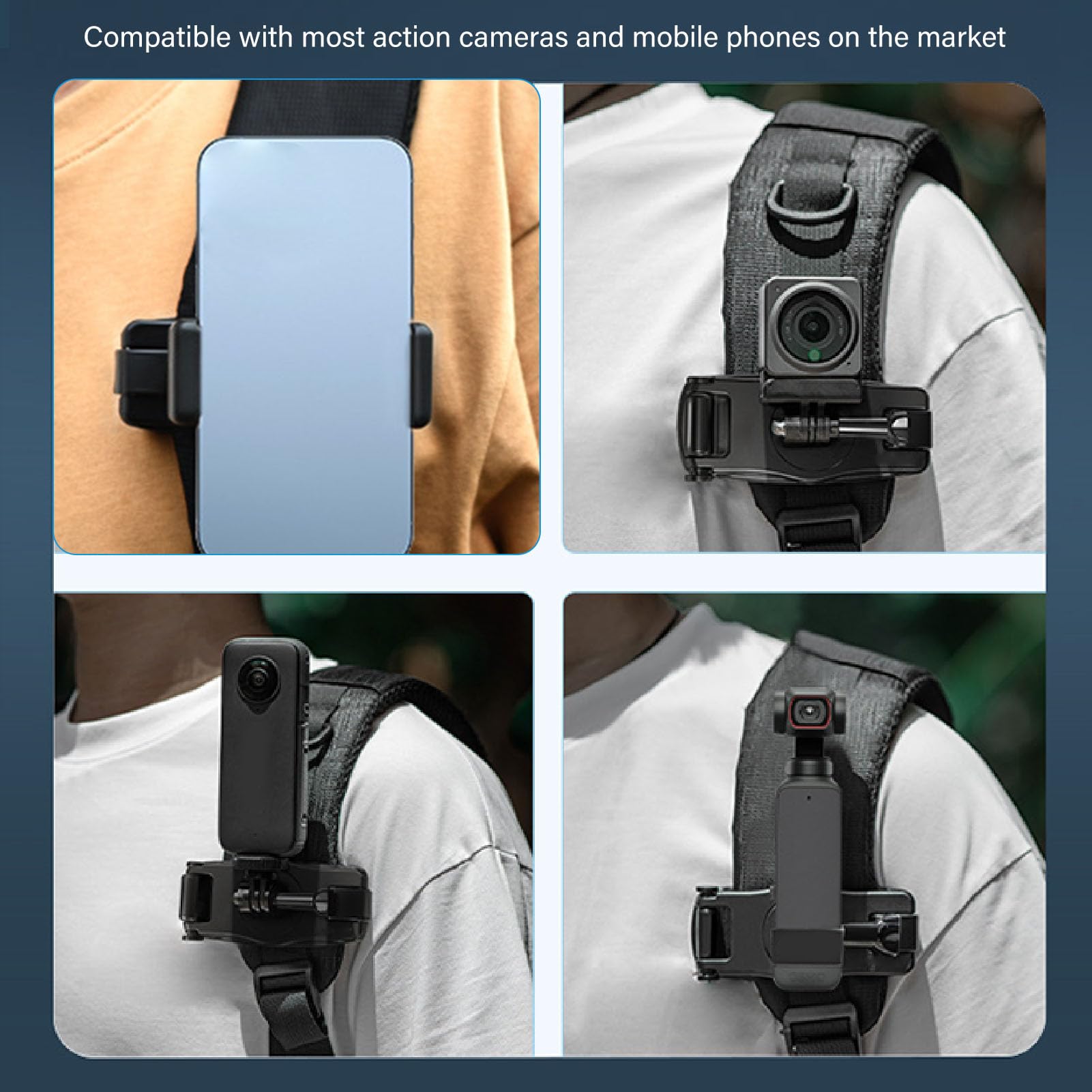 30 in. Marengo Barb Charger Art Print - James Ward