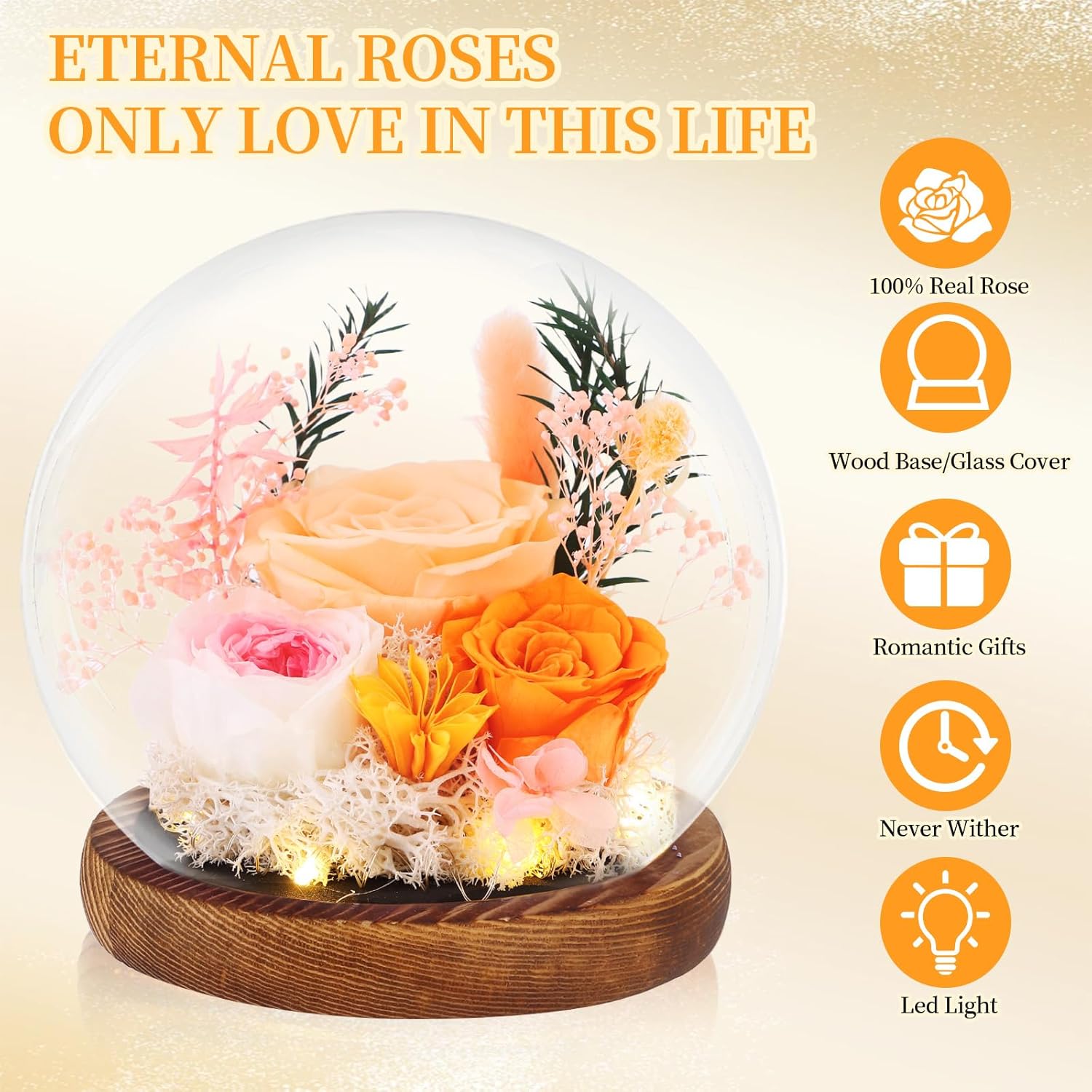 Preserved Roses Real Flowers in Glass Gifts for Women,Mom,Girlfriend,Grandma,Long-Lasting Eternal Roses with Led Lights,Flowers for Delivery Prime Valentines,Birthday,Mothers Day,Christmas(Champagne) - Image 2