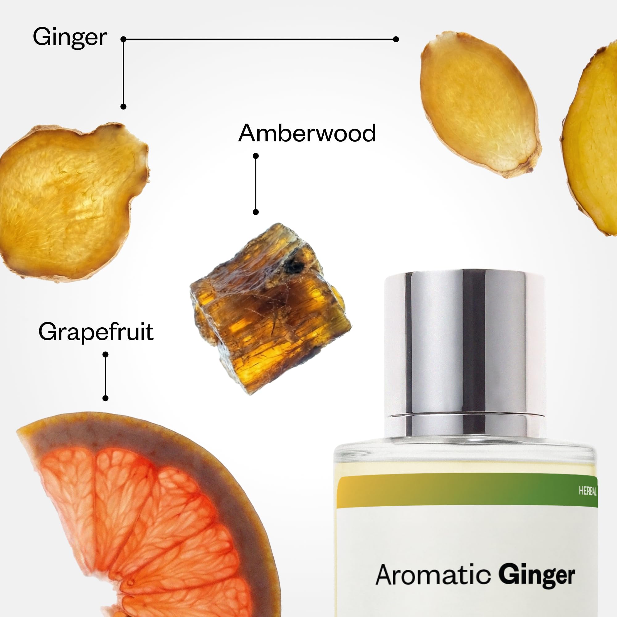 Dossier Aromatic Ginger Eau de Parfum Inspired by L'Immensité, 1.7 fl oz