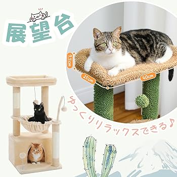 Amazon | PAWZ Road キャットタワー ミニ 猫タワー サボテン 小型 低め