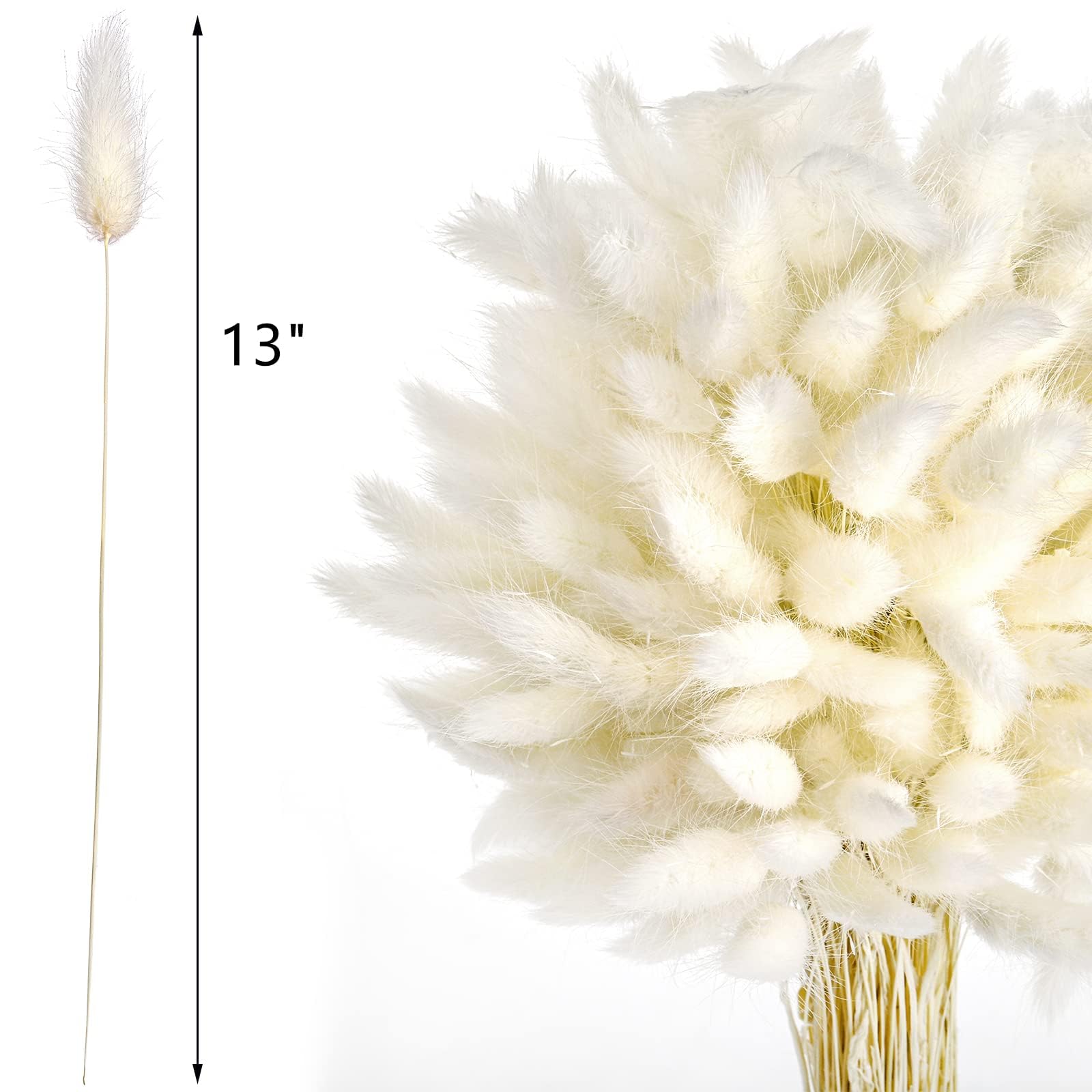Dried Flowers Bouquet Natural， Fiori secchi bouquet naturale(Yellow,50Pcs)