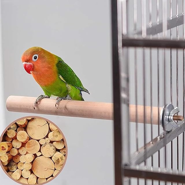 Foto 3 de 7 de Juego de 4 Perchas de Madera Natural para Loros - Perchas de Rama para Jaulas de Pájaros