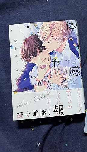 Amazon.co.jp: 体感予報 (ビーボーイコミックスデラックス) : 鯛野