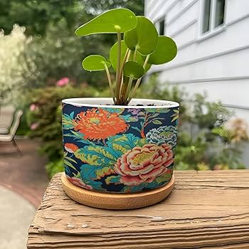 BRUYU5SE Blue Pink Chinoiserie Floral Ceramic Planters Flower Pots