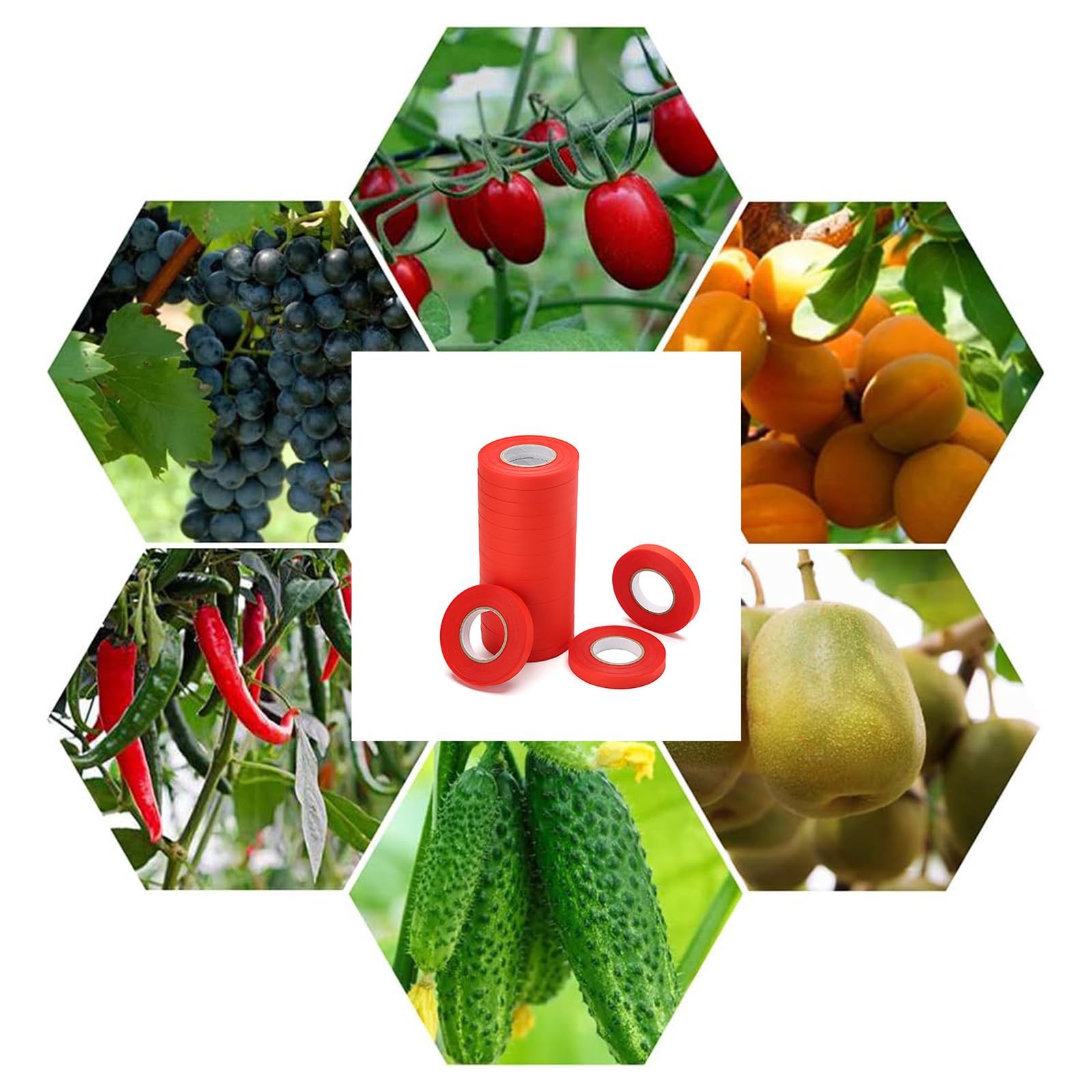 Nastro adesivo per legatrici vegetali, strumento con 20 rotoli di nastro, 1 scatola di graffette, nastri per macchine per legare piante da giardino per potare verdure