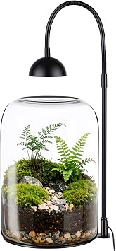 Glass Plant Terrarium with LED Grow Light, Adjustable Ventilation Desktop Indoor Planter for Venus Fly Trap, Moss & Succulents, 8.2" Borosilicate Mini Greenhouse for Home Office Decor